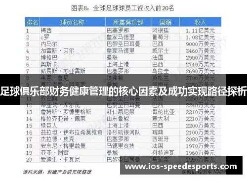 足球俱乐部财务健康管理的核心因素及成功实现路径探析