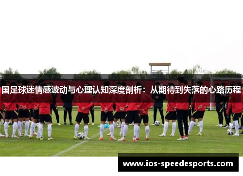 国足球迷情感波动与心理认知深度剖析：从期待到失落的心路历程