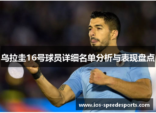 乌拉圭16号球员详细名单分析与表现盘点