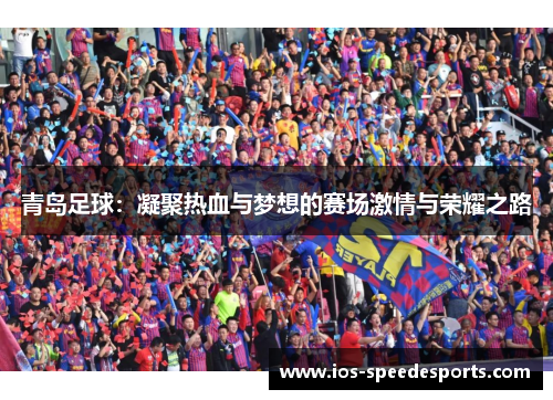 青岛足球：凝聚热血与梦想的赛场激情与荣耀之路