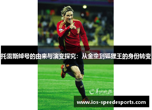 托雷斯绰号的由来与演变探究：从金童到狐狸王的身份转变